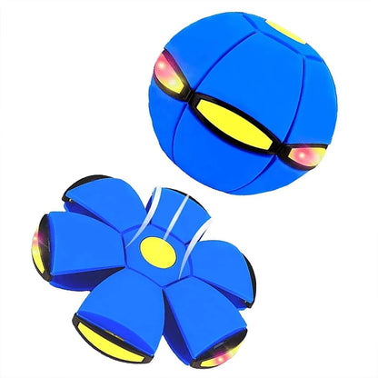 Interactive Dog Flying Saucer Outdoor Toy