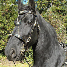 Adjustable Leather Horse Halter with Metal Buckle