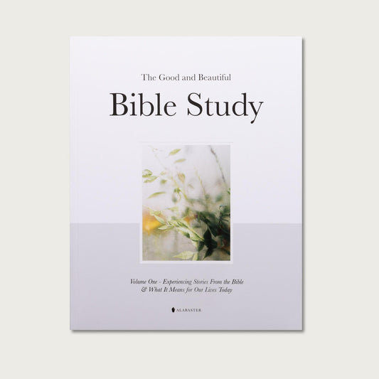 Alabaster Vol 1: Bible Study & Daily Prayers🤍