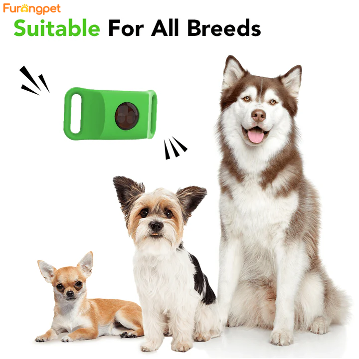 Flea & Tick Collar