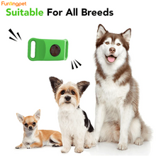 Flea & Tick Collar