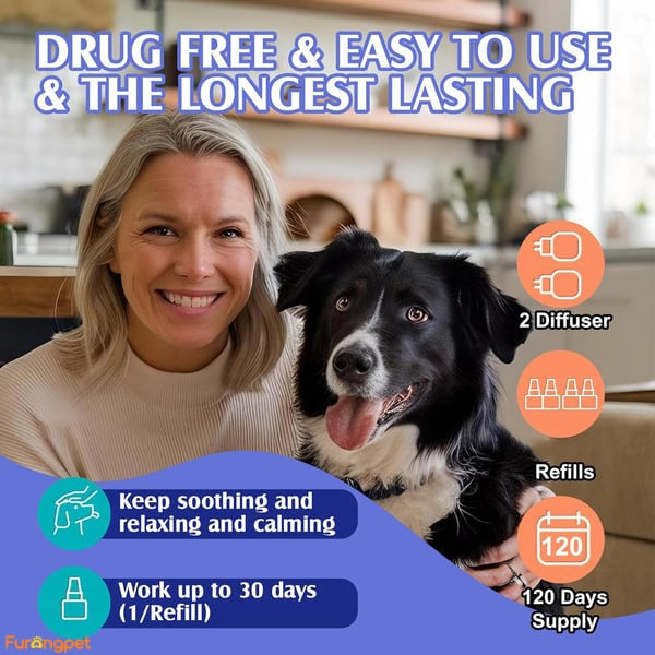 🐾Dog Claming Diffuser Kit