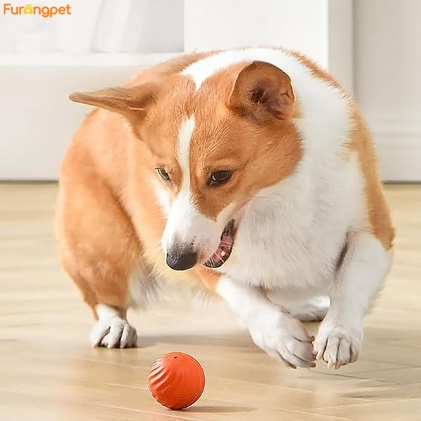 Automatic smart teasing dog ball that can't be bitten🐶