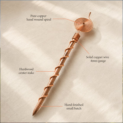 Plant Growth Boost Copper Antenna⚡