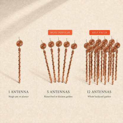 Plant Growth Boost Copper Antenna⚡