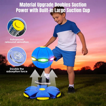 Interactive Dog Flying Saucer Outdoor Toy