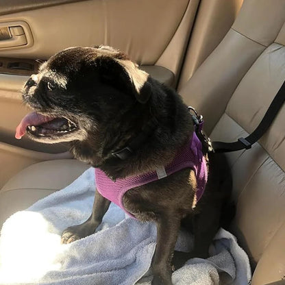 🔥2-in-1 Dog Car Seat Belt & Walking Leash