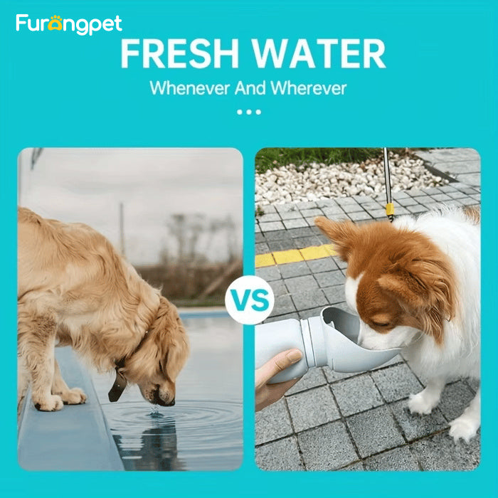 Portable Travel Dog Water Bottle