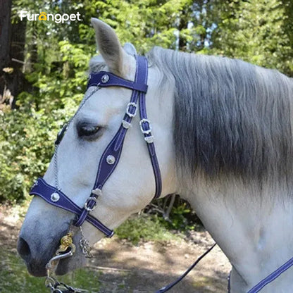 Adjustable Leather Horse Halter with Metal Buckle