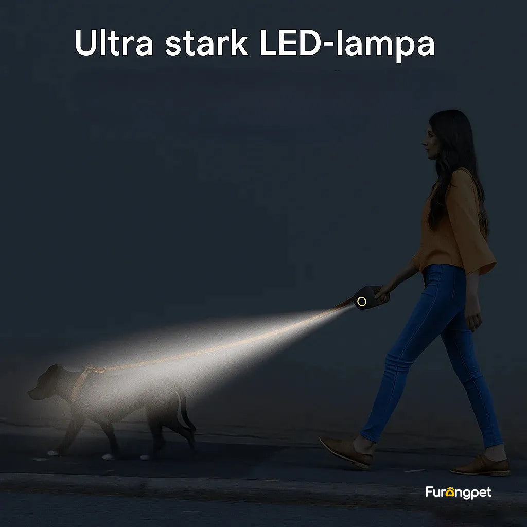Automatisk LED-Hundkoppel med Ficklampa（196 in）
