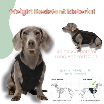Vet-Approved IVDD Back Support Harness for Dachshunds, Corgis & Small Dogs – Pain Relief & Spine Protection