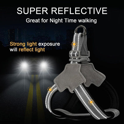 Night Safety Reflective Dog Harness & Leash Walking Kit
