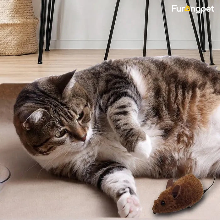 Mouse Toy for Cats and Dogs