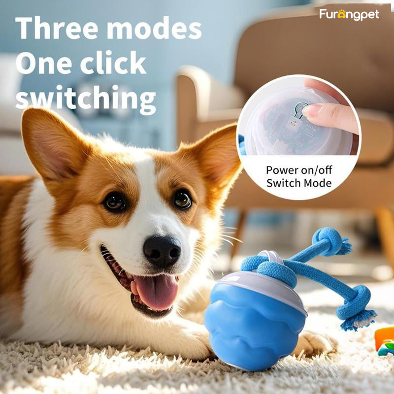 🐕Interactive Dog Toys with Motion Activated🐶