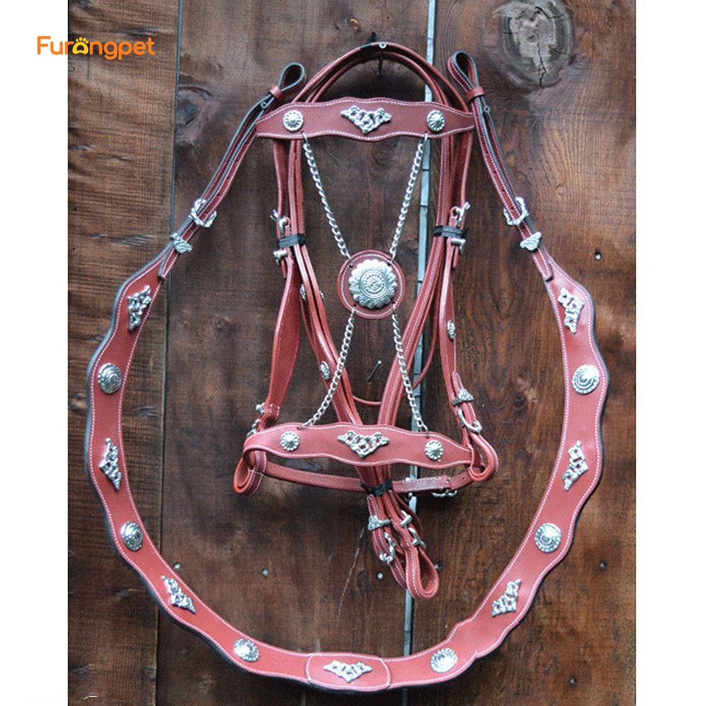 Adjustable Leather Horse Halter with Metal Buckle