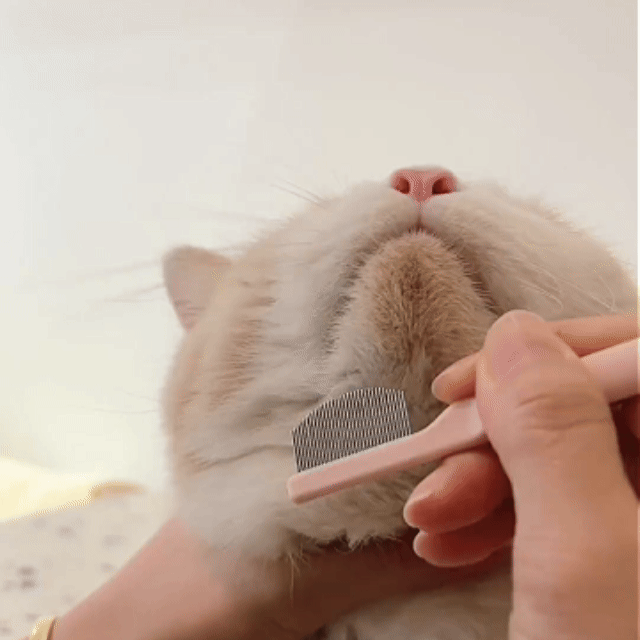 Pet Grooming Comb Set