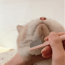 Pet Grooming Comb Set