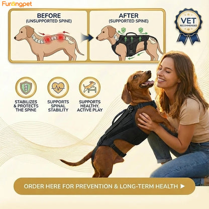 Furongpet™Dog Back Brace for IVDD, Full Support Spinal Brace
