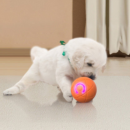 Auto-Bouncing Smart Pet Ball w/ Remote – Chew-Resist E-TPU | USB-C Recharge