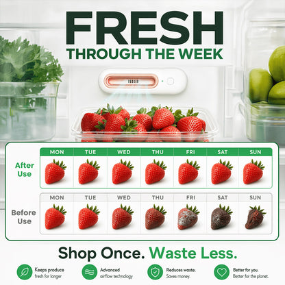 Keep Food Fresh 4x Longer & Slash Your Grocery Bills