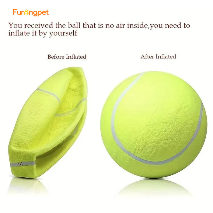 Dog Tennis Ball - Durable outdoor toys