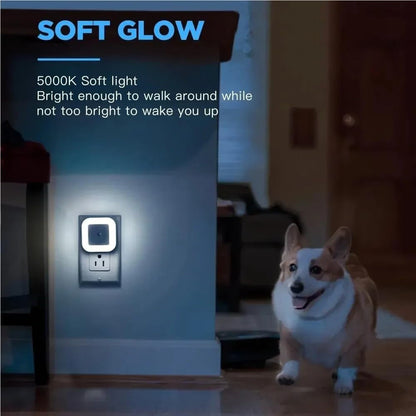 Plug-In Wall Mount Night Light – Safe, Energy-Efficient, and Easy to Use