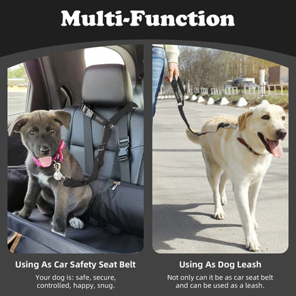 🔥2-in-1 Dog Car Seat Belt & Walking Leash