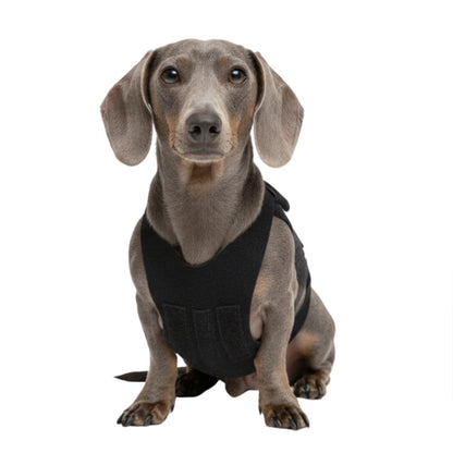 Vet-Approved IVDD Back Support Harness for Dachshunds, Corgis & Small Dogs – Pain Relief & Spine Protection