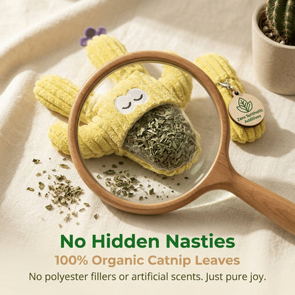 5PC Handmade Soft Cactus Kitten Chew Toys with Natural Catnip