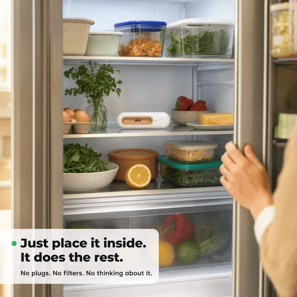 Keep Food Fresh 4x Longer & Slash Your Grocery Bills