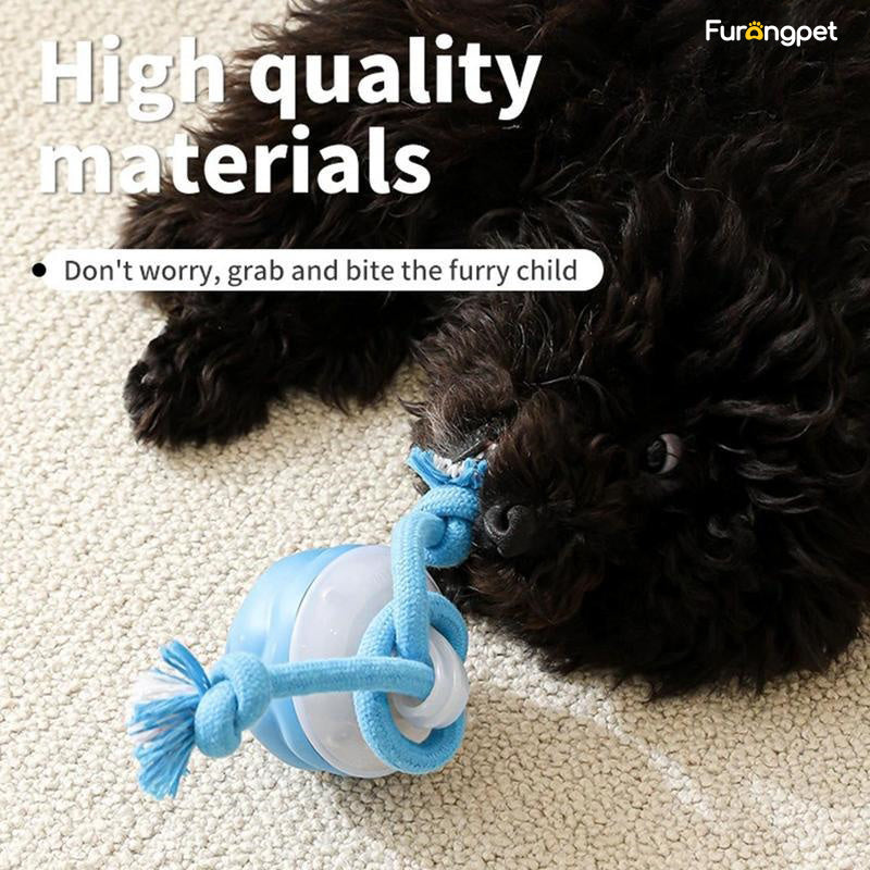🐕Interactive Dog Toys with Motion Activated🐶