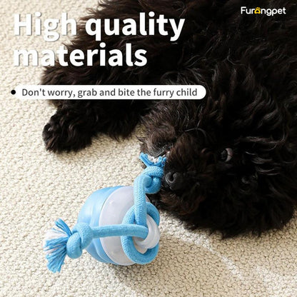 🐕Interactive Dog Toys with Motion Activated🐶