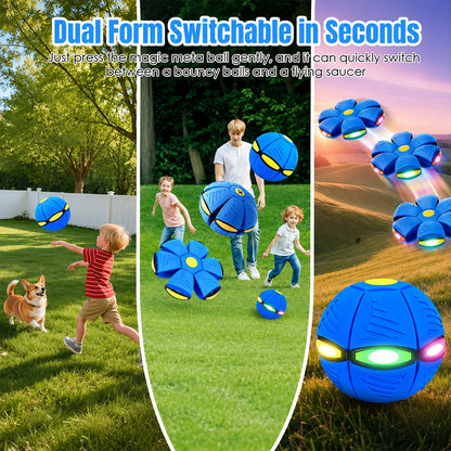 Interactive Dog Flying Saucer Outdoor Toy