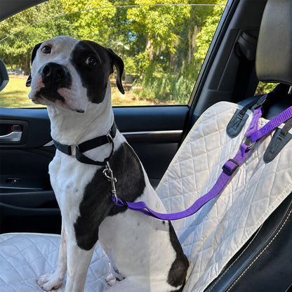 2-in-1 Adjustable Dog Car Seat Belt and Leash