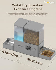 Pet Automatic Cat Feeder and Gravity Water Dispenser