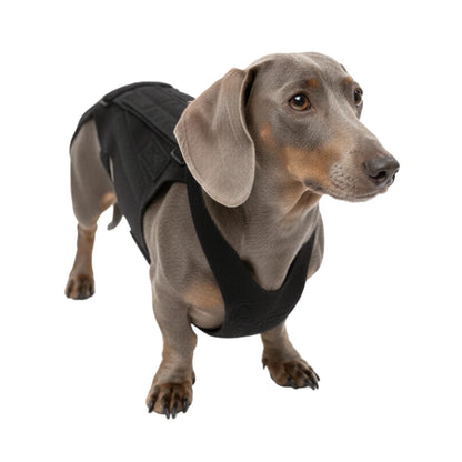 Vet-Approved IVDD Back Support Harness for Dachshunds, Corgis & Small Dogs – Pain Relief & Spine Protection