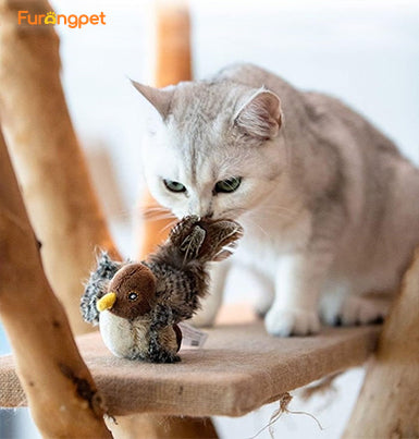 😻Pet Supplies Sale🐾Interactive Chirping Bird Cat Toy✈️