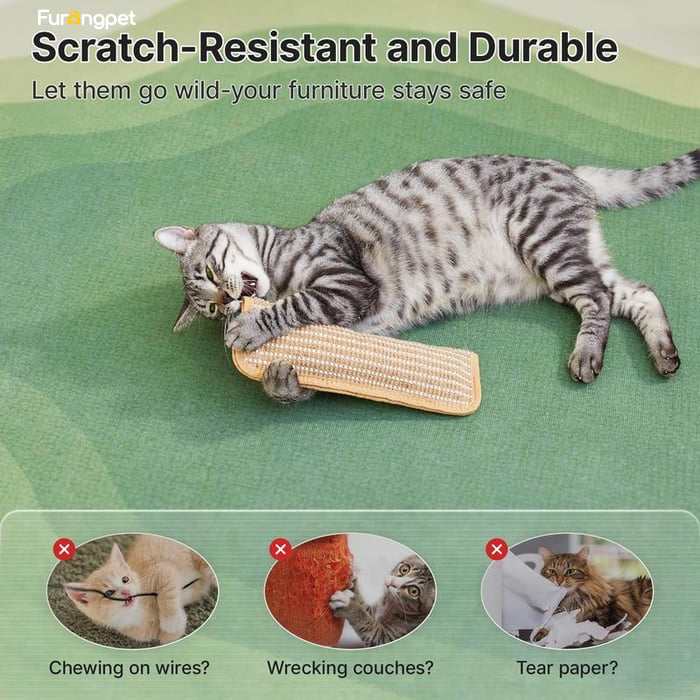 🐱Interactive Catnip Chew Toy