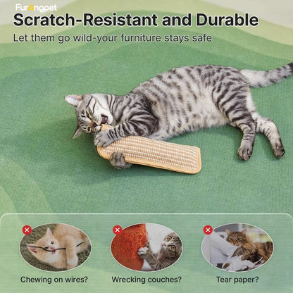🐱Interactive Catnip Chew Toy