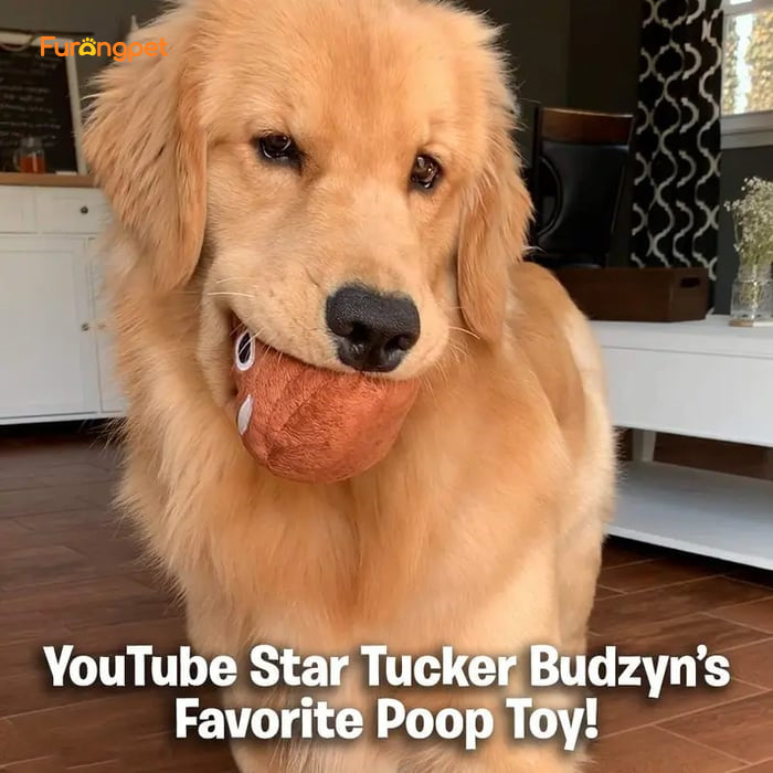 💩🤣 Farting Plush Poop Toy with Sound for Kids & Pets