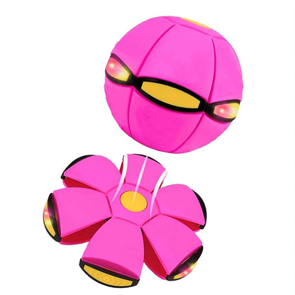 Interactive Dog Flying Saucer Outdoor Toy