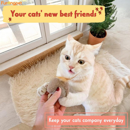 Owl Cat Toy for Self-Amusement and Stress Relief with Catnip