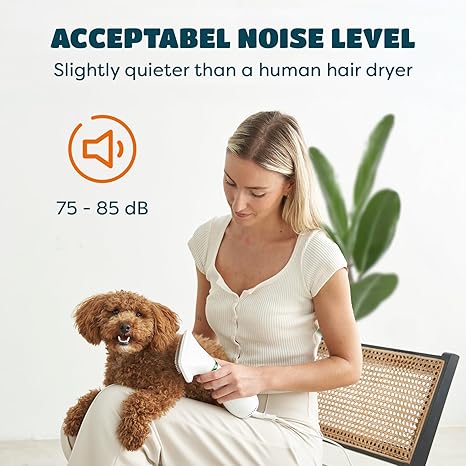 Pro 2-in-1 Dog & Cat Grooming Blow Dryer