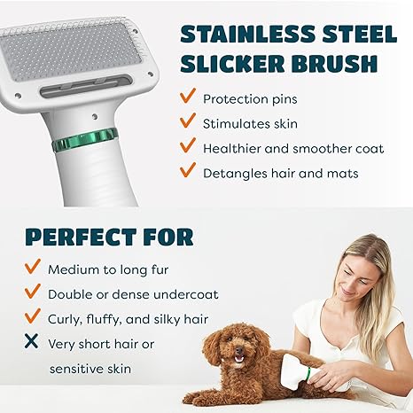 Pro 2-in-1 Dog & Cat Grooming Blow Dryer