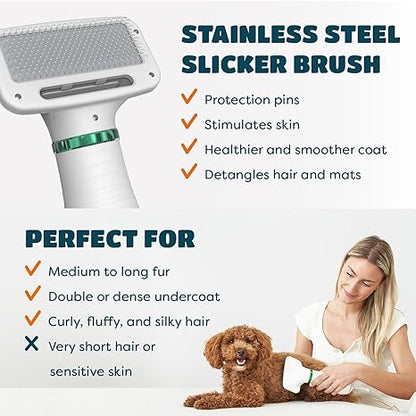 Pro 2-in-1 Dog & Cat Grooming Blow Dryer