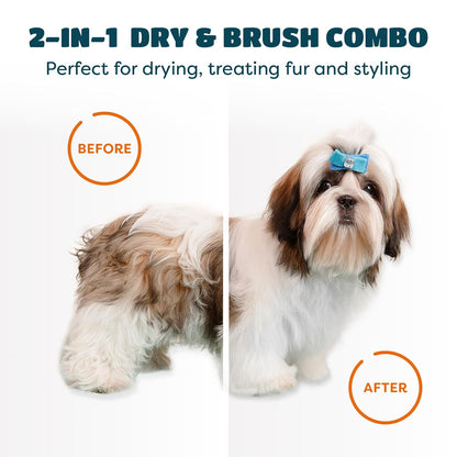 Pro 2-in-1 Dog & Cat Grooming Blow Dryer