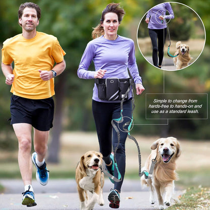 Retractable Hands Free Dog Leash with Dual Bungees for 2 Dogs
