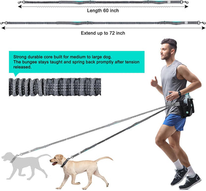 Retractable Hands Free Dog Leash with Dual Bungees for 2 Dogs