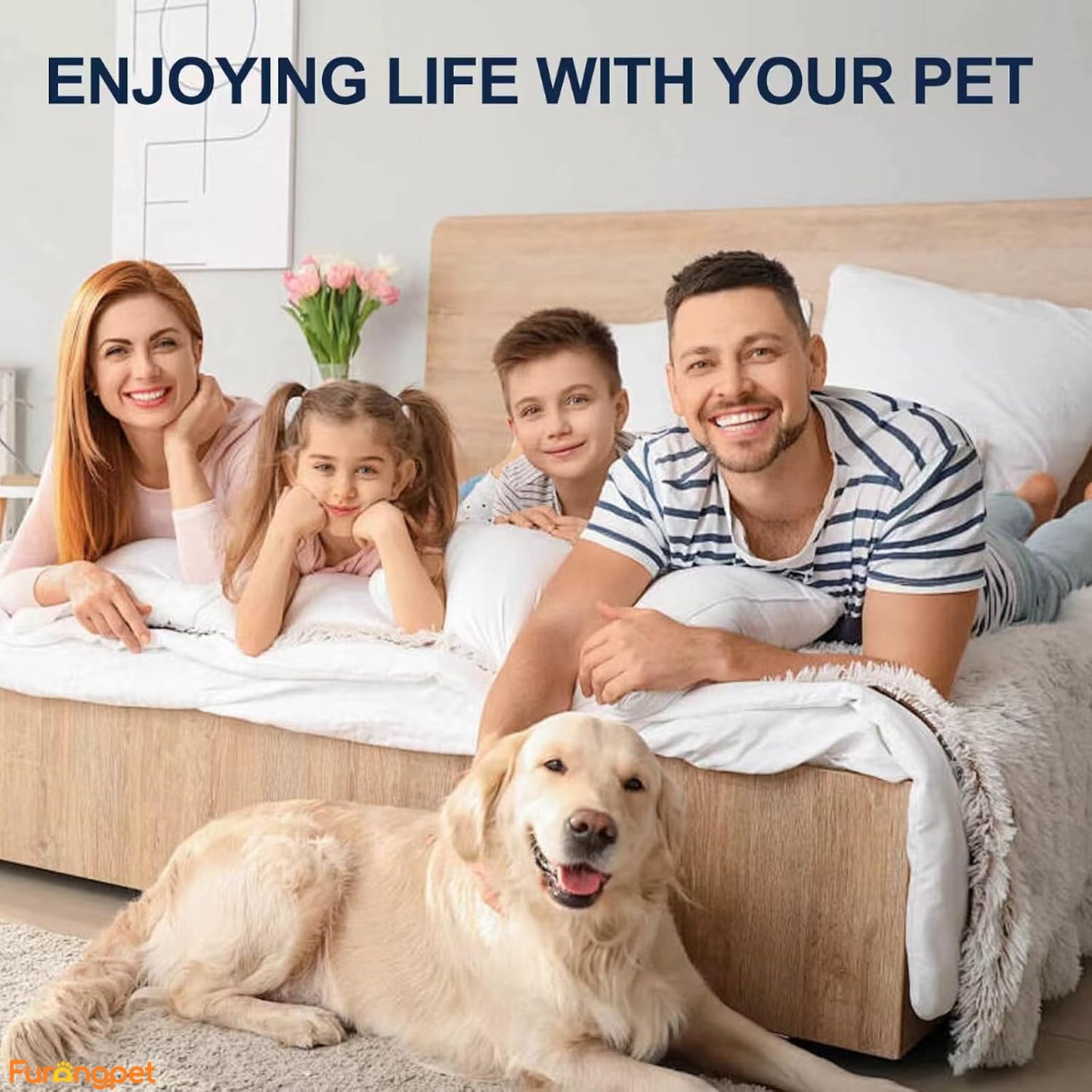 Furongpet™ Cat Training Spray – Stop Scratching, Protect Furniture