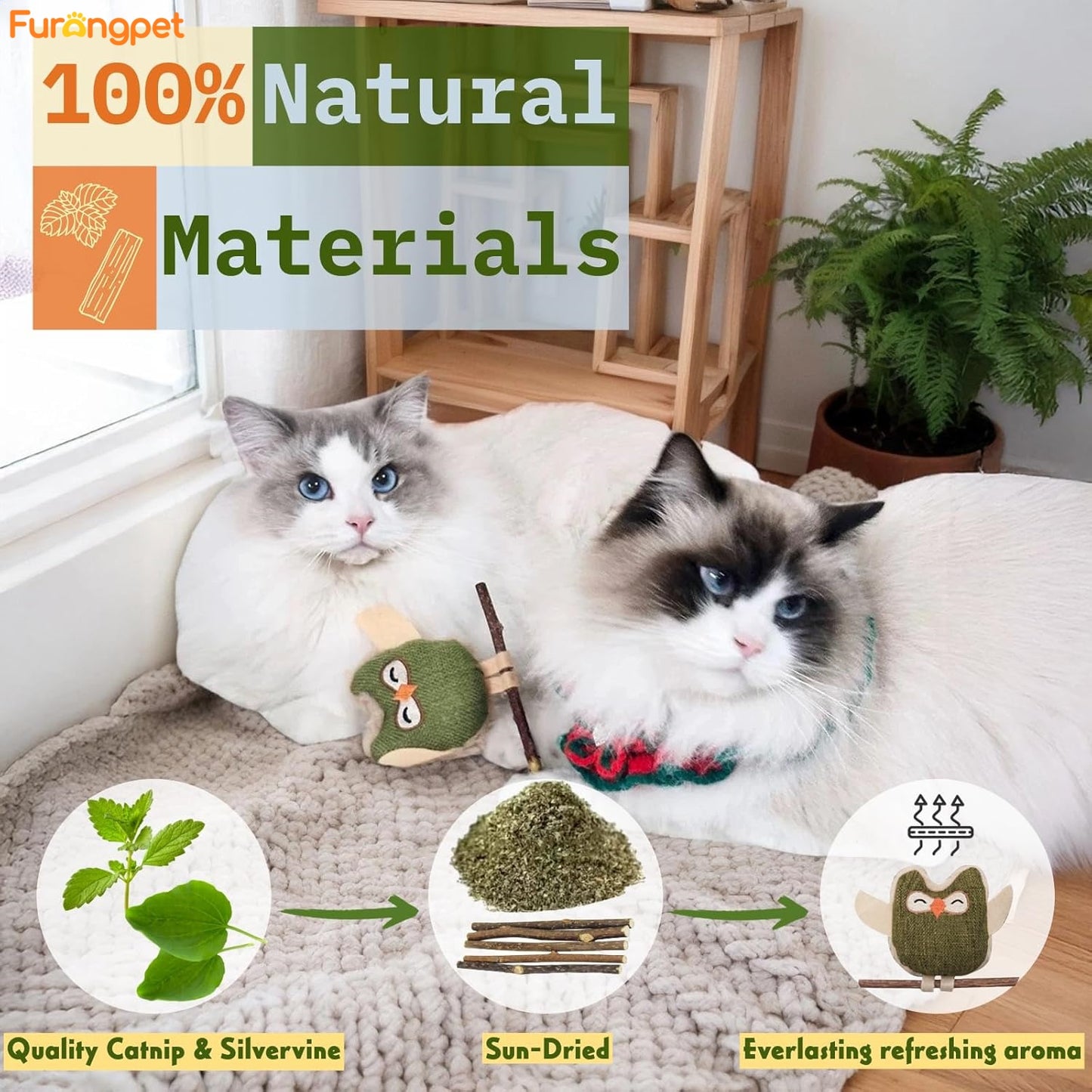 Owl Cat Toy for Self-Amusement and Stress Relief with Catnip